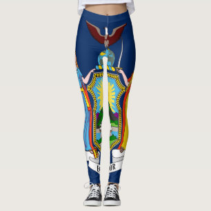 Leggings Bandera del Estado de Nueva York