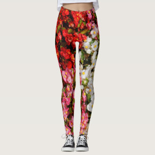 Leggings Begonias de cera colorida