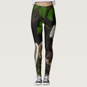 Leggings Belleza envenenada