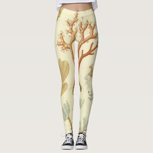 Leggings Biología del libro de texto de ciencia, animales d (Anverso)