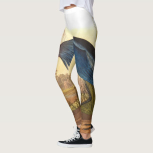 Leggings Blue Crane o Heron por John James Audubon