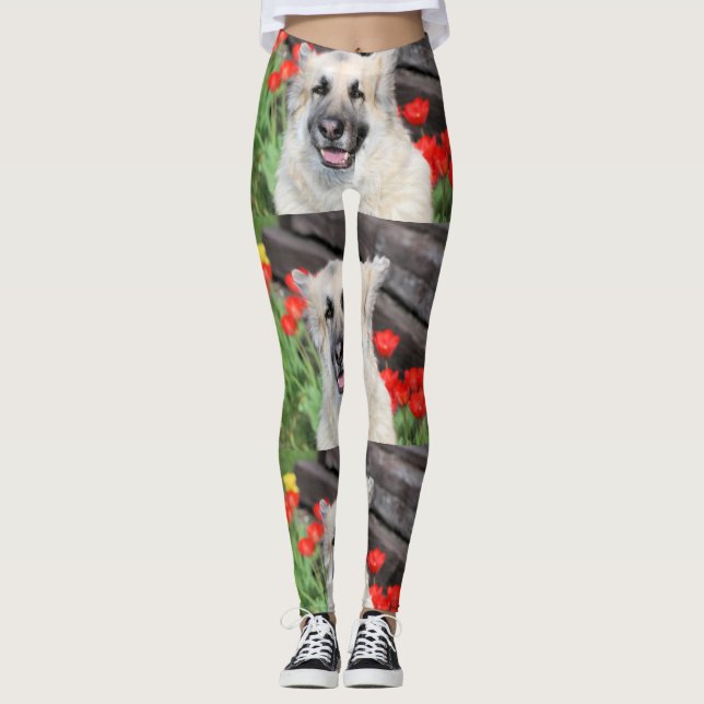 Leggings Bonito GSD (Anverso)