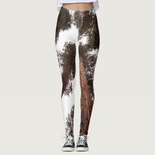 Leggings bosque, árbol