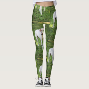 Leggings Boxeador