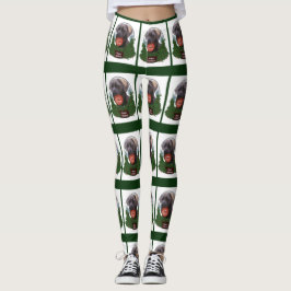 Leggings Cane Corso Navidades