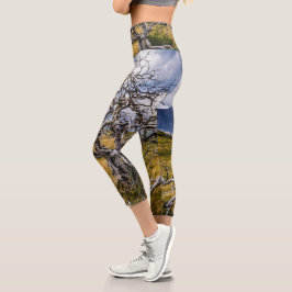 Leggings Capri Árbol quemado, Torres del Paine, Chile