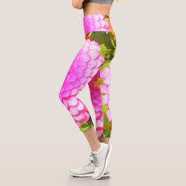 Leggings Capri Bonito redonda de zinnia rosa en el jardín de vera