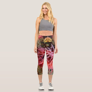 Leggings Capri Capris Rosa Anémone Alto Deseado