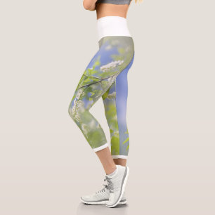 Leggings Capri Cielo de flores de flores de cerezo de aves