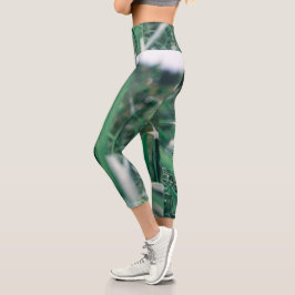 Leggings Capri Cielo de la hierba verde pálida Pastel