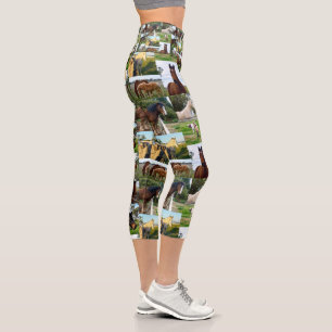 Leggings Capri Collage de fotos de caballo,