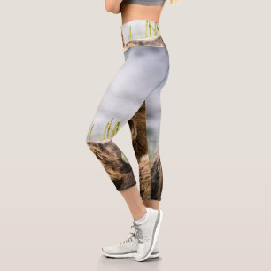 Leggings Capri Cubos Grizzly Buscando Su Mamá