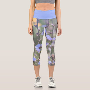 Leggings Capri Flores de plantas de achicoria azul púrpura