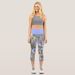 Leggings Capri Flores de plantas de achicoria azul púrpura