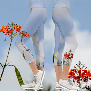 Leggings Capri Flores Flamboyantes de Poinciana Real sobre Azul