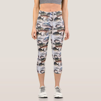 LEGGINGS CAPRI MOSAICOS ROMANOS ANTIGUOS, PESCADOS, ESCENA DE VID