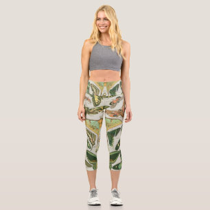 Leggings Capri Patrón de mariposas antiguas de mariposa