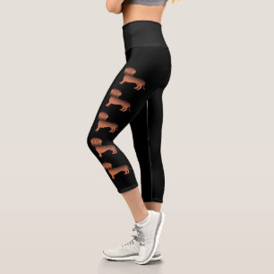 Leggings Capri Perros Dachshund de Pelo Liso Sable Rojo Sobre Neg