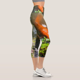 Leggings Capri Pescado de Koi en un estanque