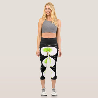 Leggings Capri pintura del árbol km capri