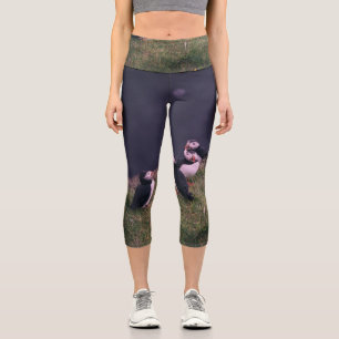 Leggings Capri Puffins atlánticos