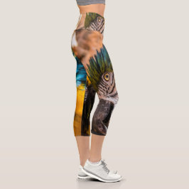 Leggings Capri Retrato de macao azul y amarillo