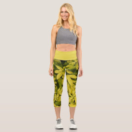 Leggings Capri Sundance Naranja Planta Floral