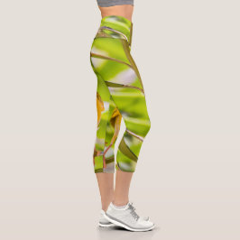 Leggings Capri Tiempo de construir el nido