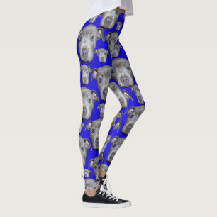 Leggings Cara de cachorro de Staffordshire Bull Terrier,