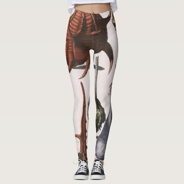 Leggings Cascos marinos de época, cáscaras oceánicas Vida m (Anverso)