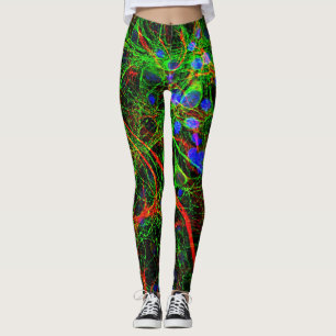 Leggings Celda del cerebro bajo el "alcance"