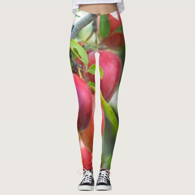 Leggings Ciruela de cerezo en rama (Anverso)