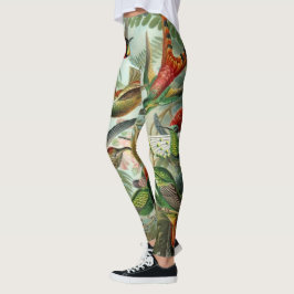 Leggings Colibríes de Ernst Haeckel, aves vitícolas