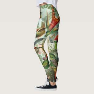 Leggings Colibríes de Ernst Haeckel, aves vitícolas