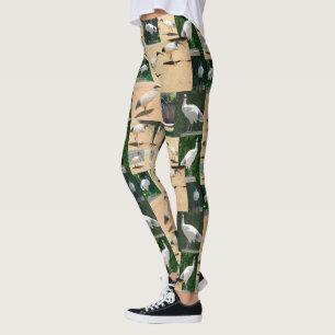 Leggings Collage de fotos Bin Chicken, piernas