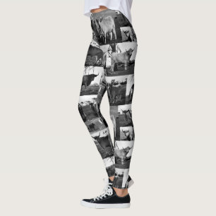 Leggings Collage de fotos de vaca Highland en blanco y negr