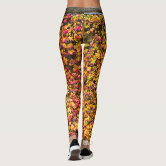 Leggings Colores dorados de otoño hiedra pared