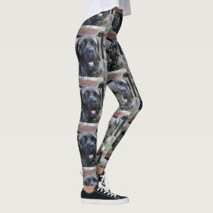 Leggings corso canso gris romano
