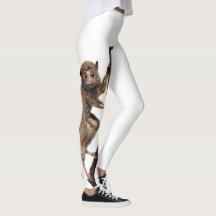 Curiosamente sorprendida Taxidermy Lemur Monkey Cr