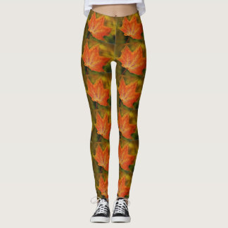 Leggings de hojas de otoño