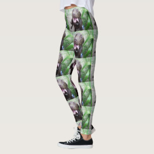 Leggings Delicias Goofy: Cachorros de chocolate marrón,