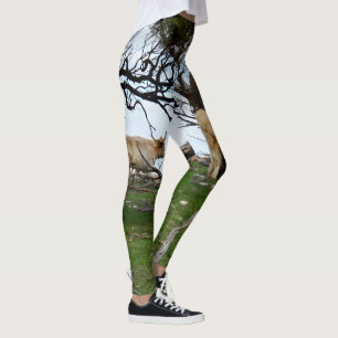 Leggings Dos vacas de altiplano en tierras rurales pacífica