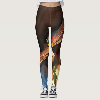 Leggings Dragonfly con las alas doradas de la luz del sol
