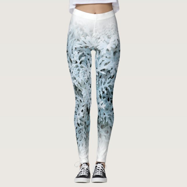 Leggings Dusty Miller / Silver Ragwort (Anverso)