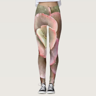 Leggings Echeveria Cactus Suculento Pintura Acrílica