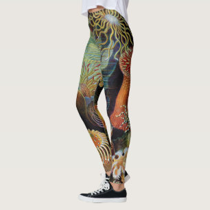 Leggings El arte de la naturaleza de Ernst Haeckel