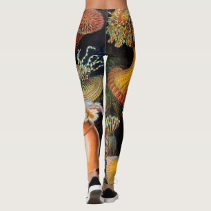 Leggings El arte de la naturaleza de Ernst Haeckel