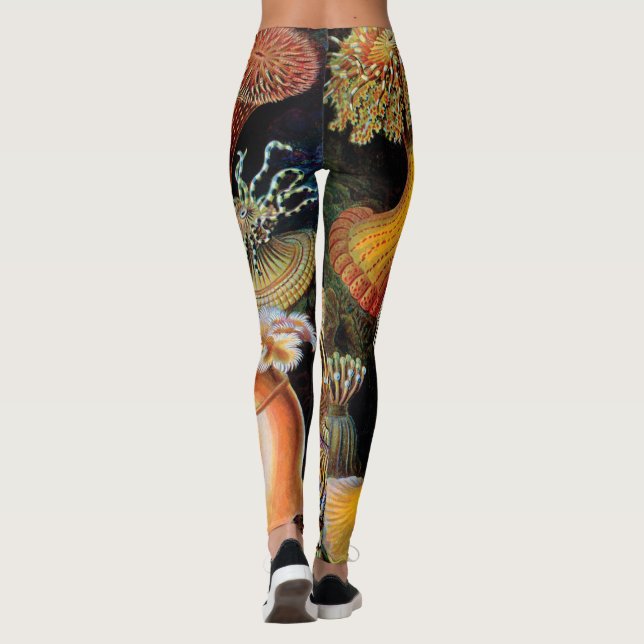 Leggings El arte de la naturaleza de Ernst Haeckel (Reverso)