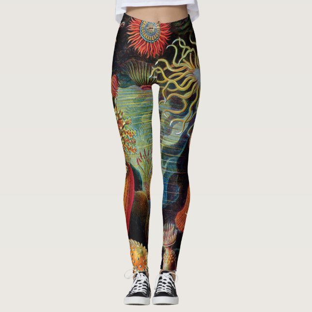 Leggings El arte de la naturaleza de Ernst Haeckel (Anverso)