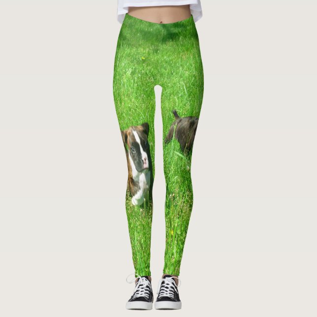 Leggings El boxeador persigue las polainas verdes del arte (Anverso)